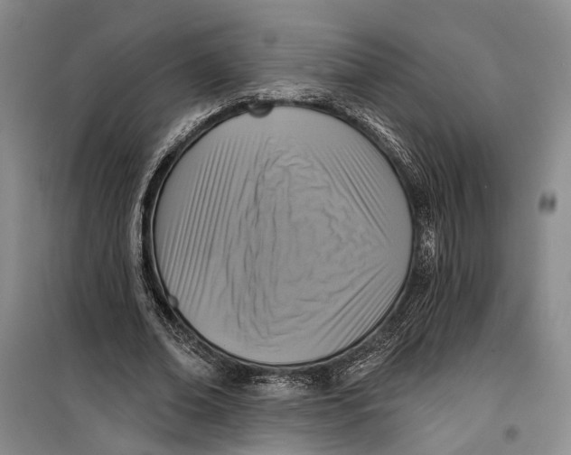 X0000099440678200805301451