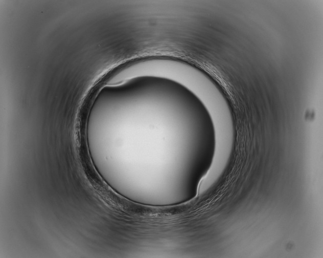 X0000099440680200805301451