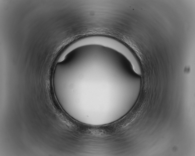 X0000099440681200805301451