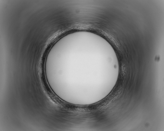 X0000099440682200805301451