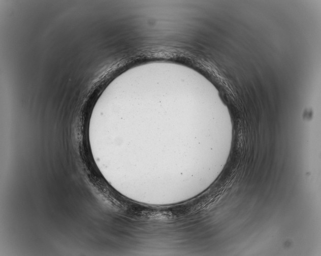 X0000099440683200805301451