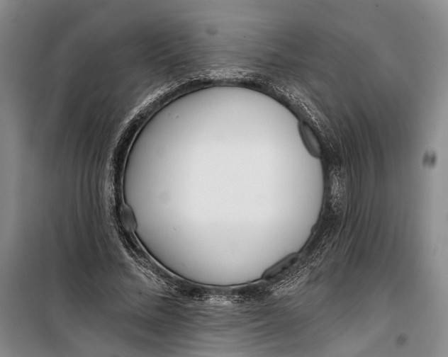 X0000099440684200805301451