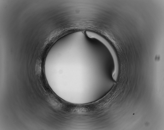 X0000099440685200805301451