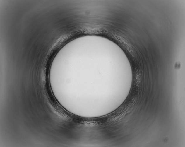 X0000099440686200805301451