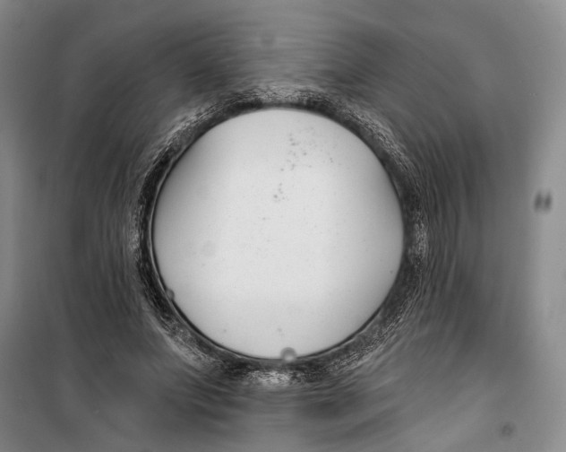 X0000099440687200805301451