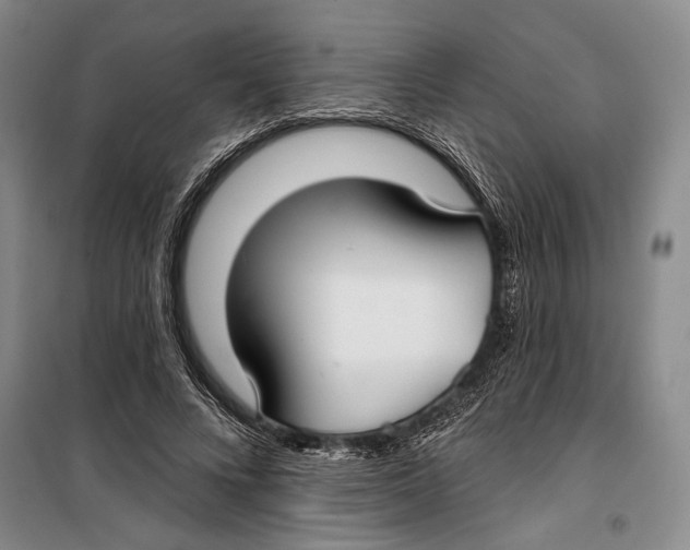 X0000099440688200805301451