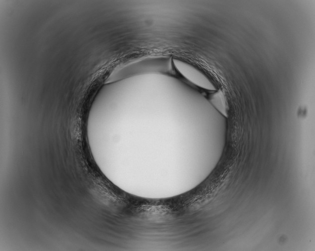 X0000099440689200805301451