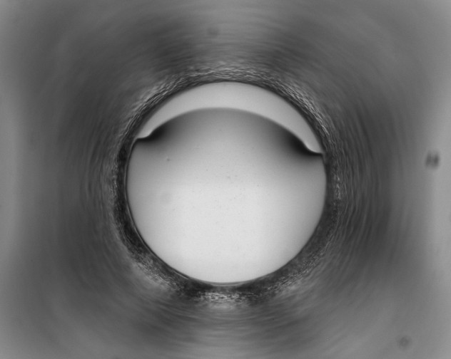 X0000099440690200805301451