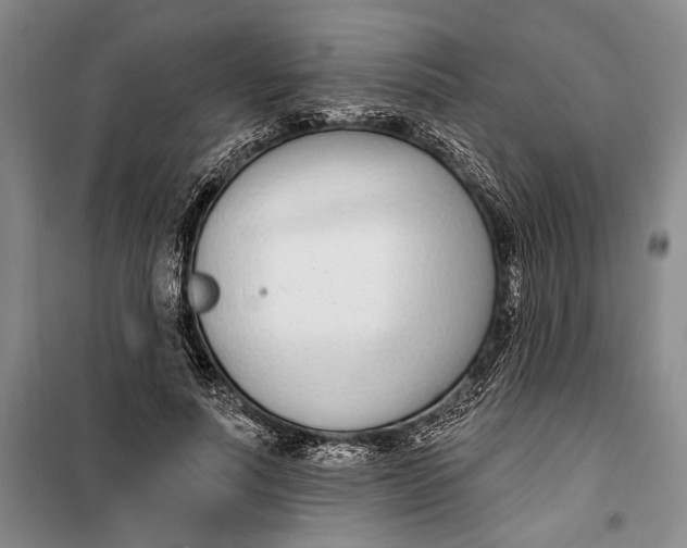 X0000099440691200805301451