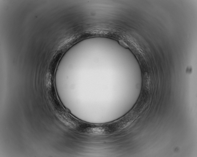 X0000099440692200805301451