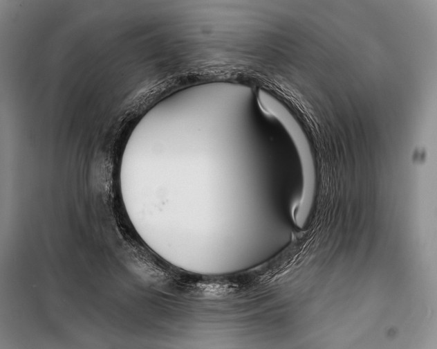 X0000099440693200805301451