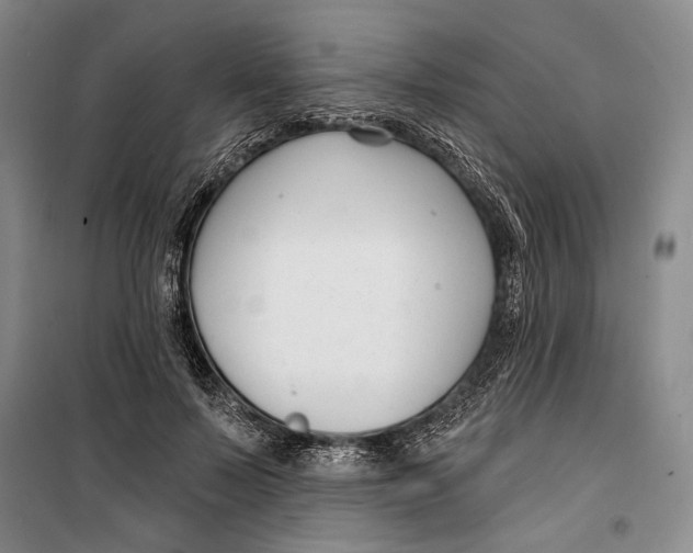 X0000099440695200805301451