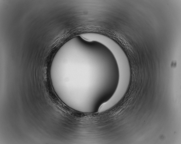 X0000099440696200805301451