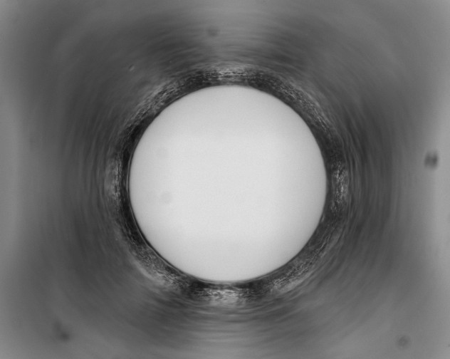 X0000099440698200805301451