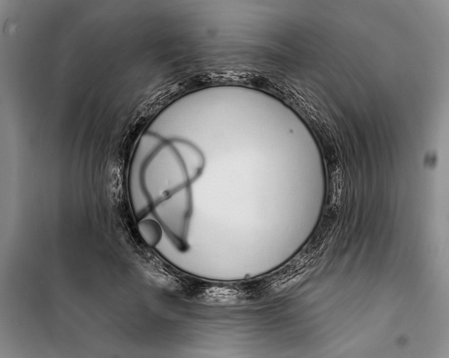 X0000099440699200805301451