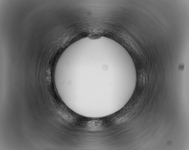 X0000099440700200805301451