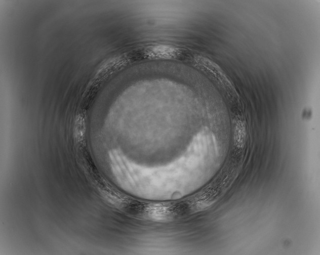 X0000099440701200805301451