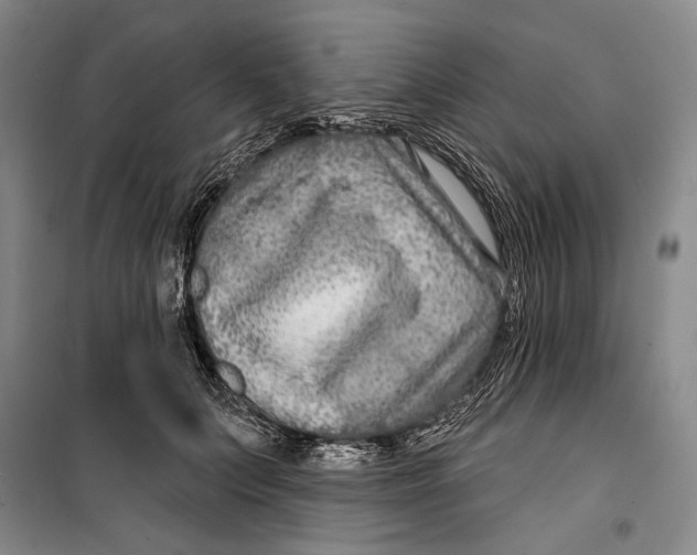 X0000099440703200805301451