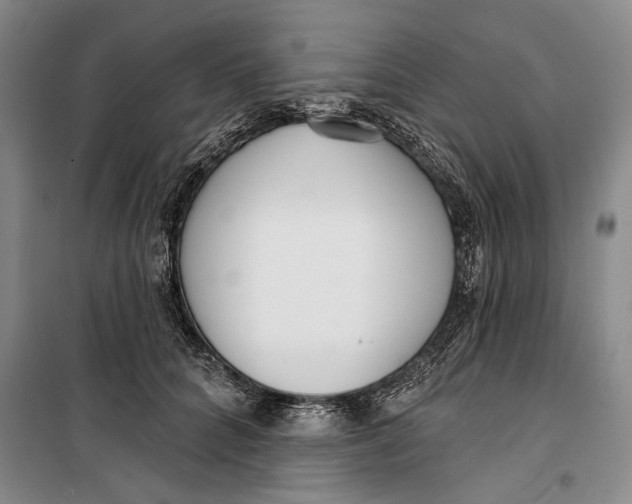 X0000099440704200805301451