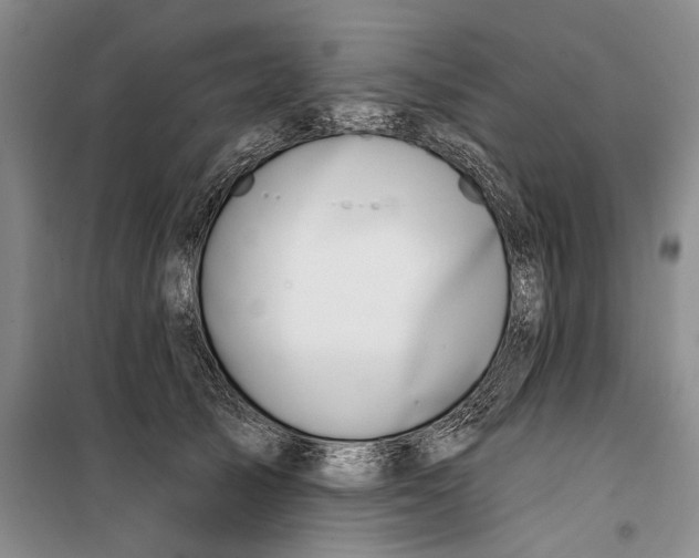 X0000099440705200805301451