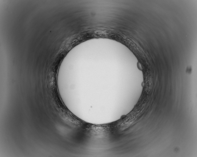 X0000099440706200805301451