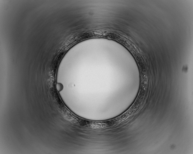 X0000099440707200805301451