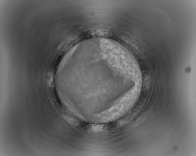 X0000099440709200805301451