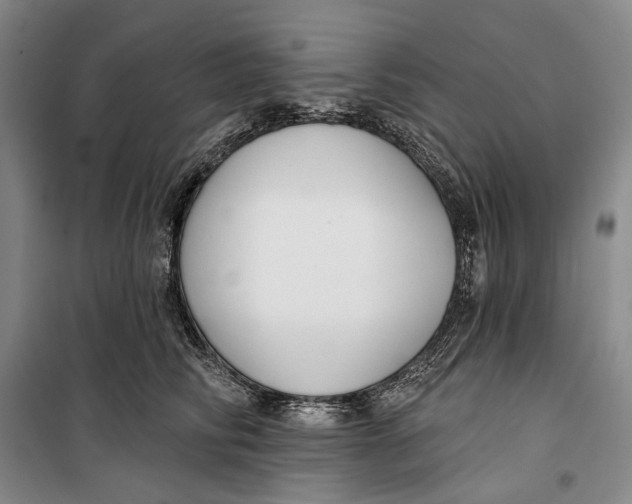 X0000099440710200805301451