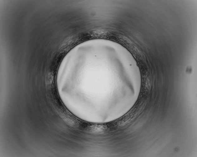 X0000099440711200805301451