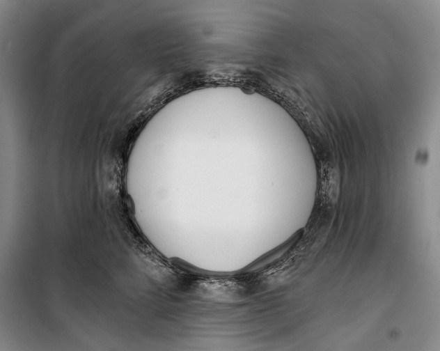 X0000099440712200805301451