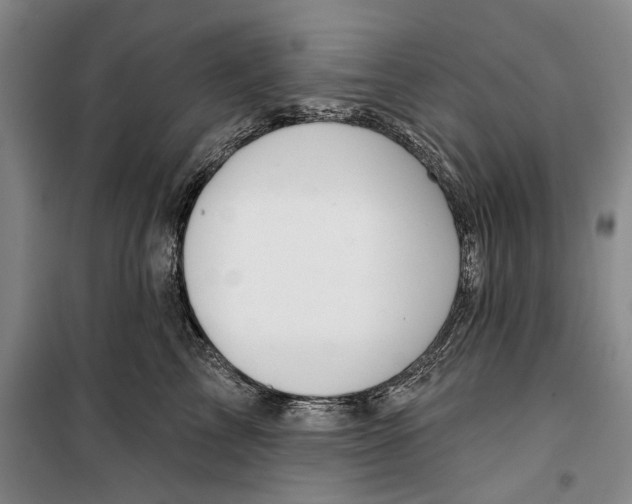 X0000099440713200805301451