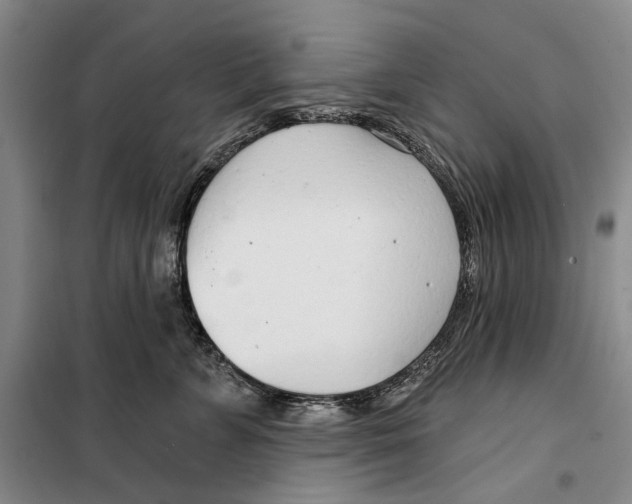 X0000099440715200805301451