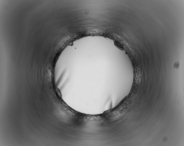 X0000099440716200805301451