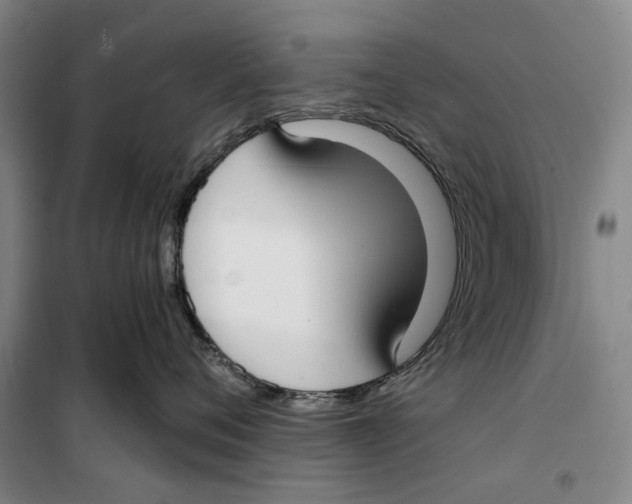 X0000099440720200805301451