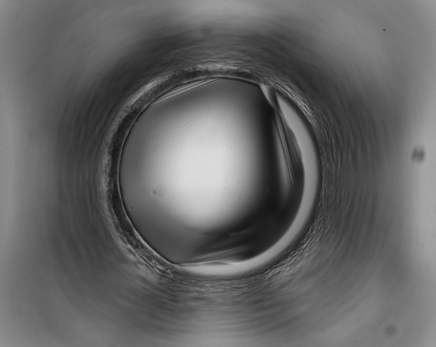 X0000099440724200805301450