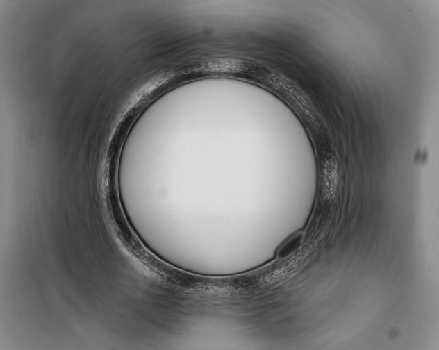 X0000099440726200805301450