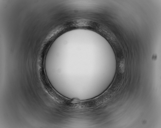 X0000099440732200805301450