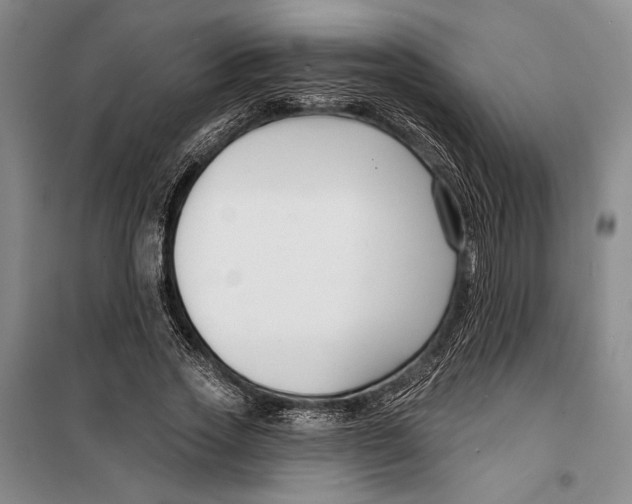 X0000099440733200805301450