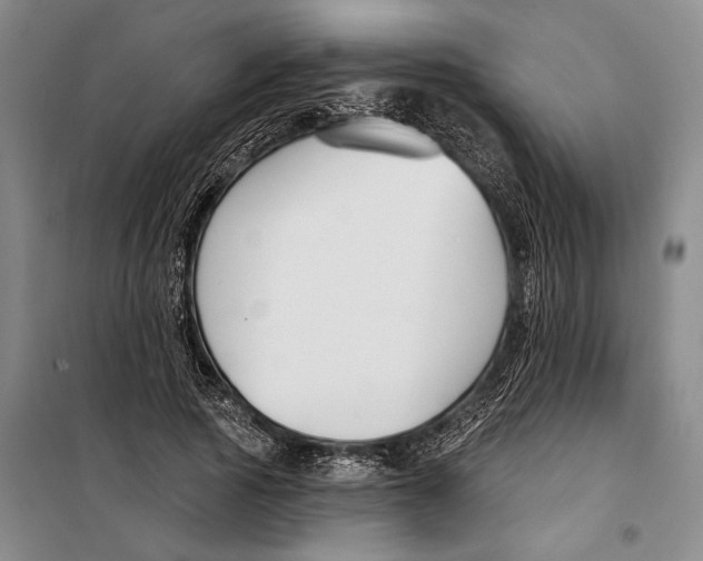 X0000099440737200805301450