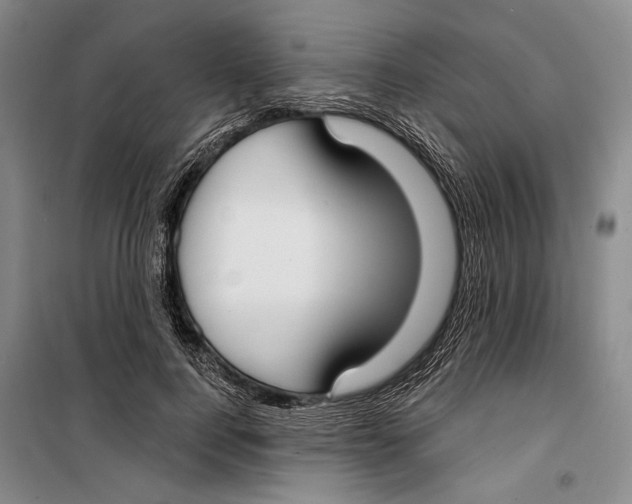 X0000099440744200805301450