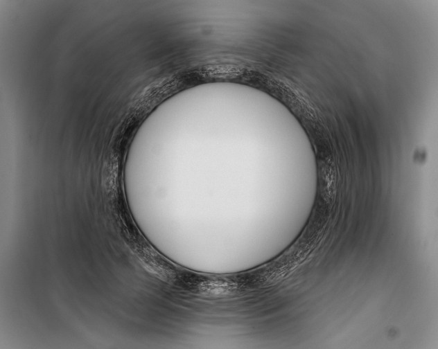 X0000099440745200805301450