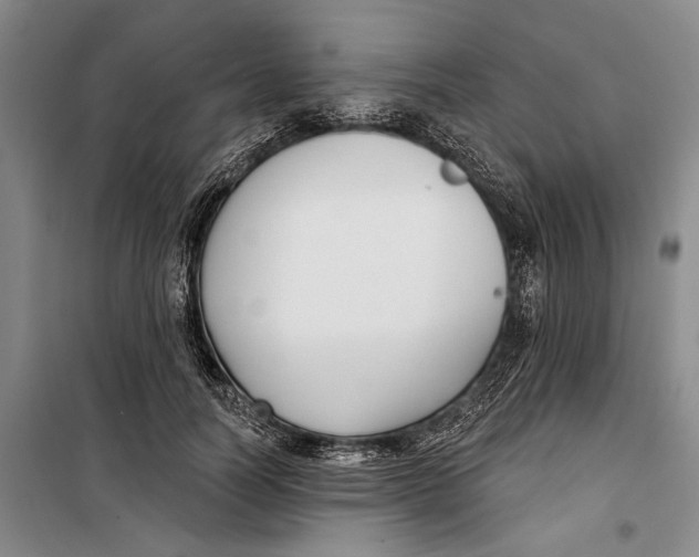 X0000099440746200805301450