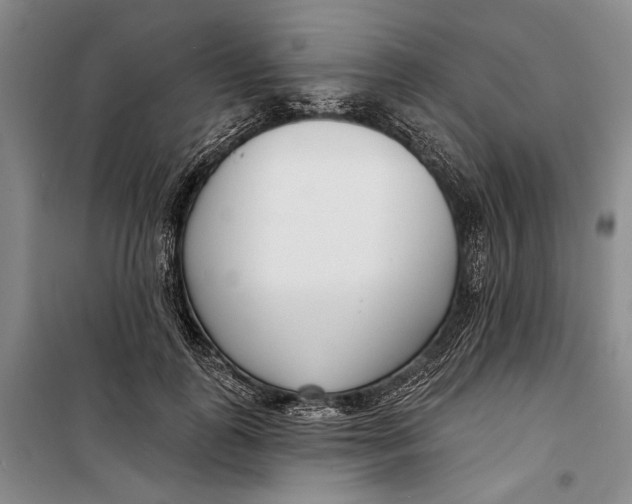 X0000099440747200805301451