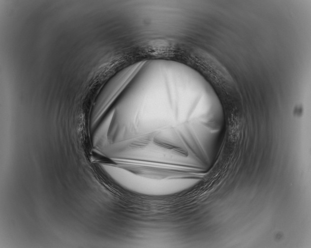 X0000099440748200805301451