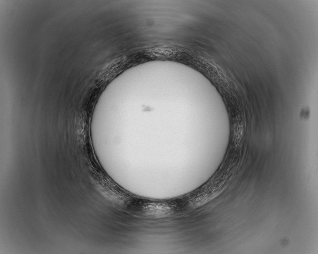 X0000099440749200805301451