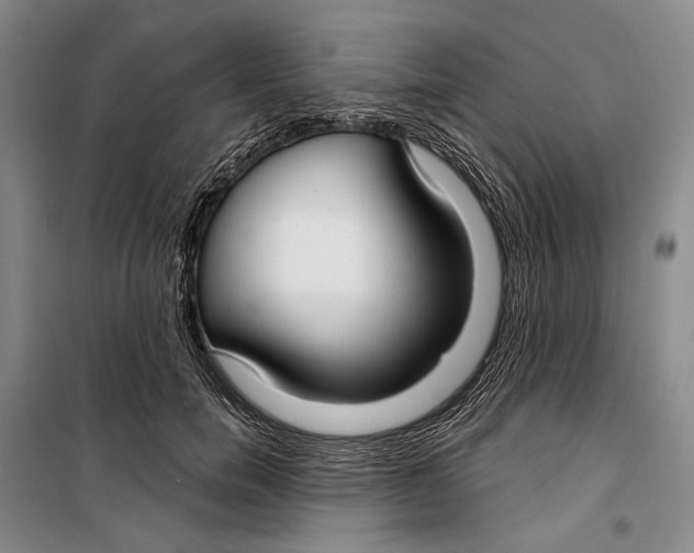 X0000099440750200805301451