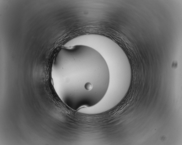 X0000099440751200805301451