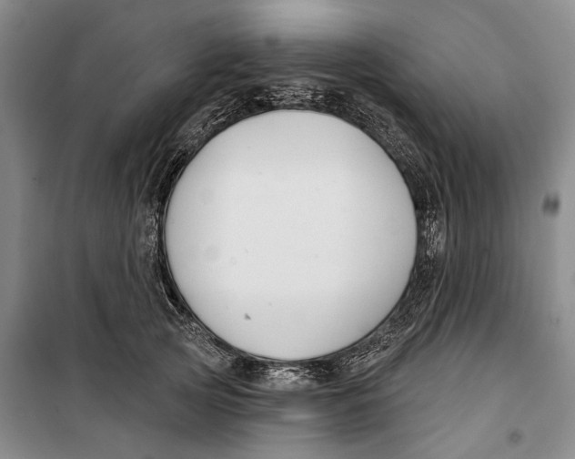 X0000099440753200805301451