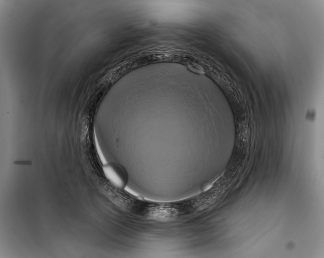 X0000099440754200805301451