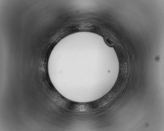 X0000099440755200805301451